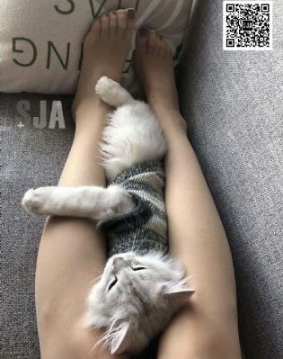 老王888影院一区二区三区_720免费观看电视剧