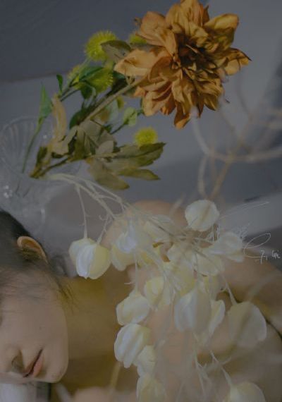 午夜视频欧美WWW_1080P高清完整版播放