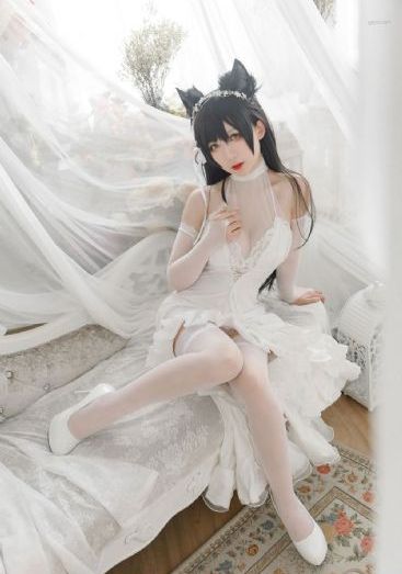 银行卡的常见问题_DVD手机在线看